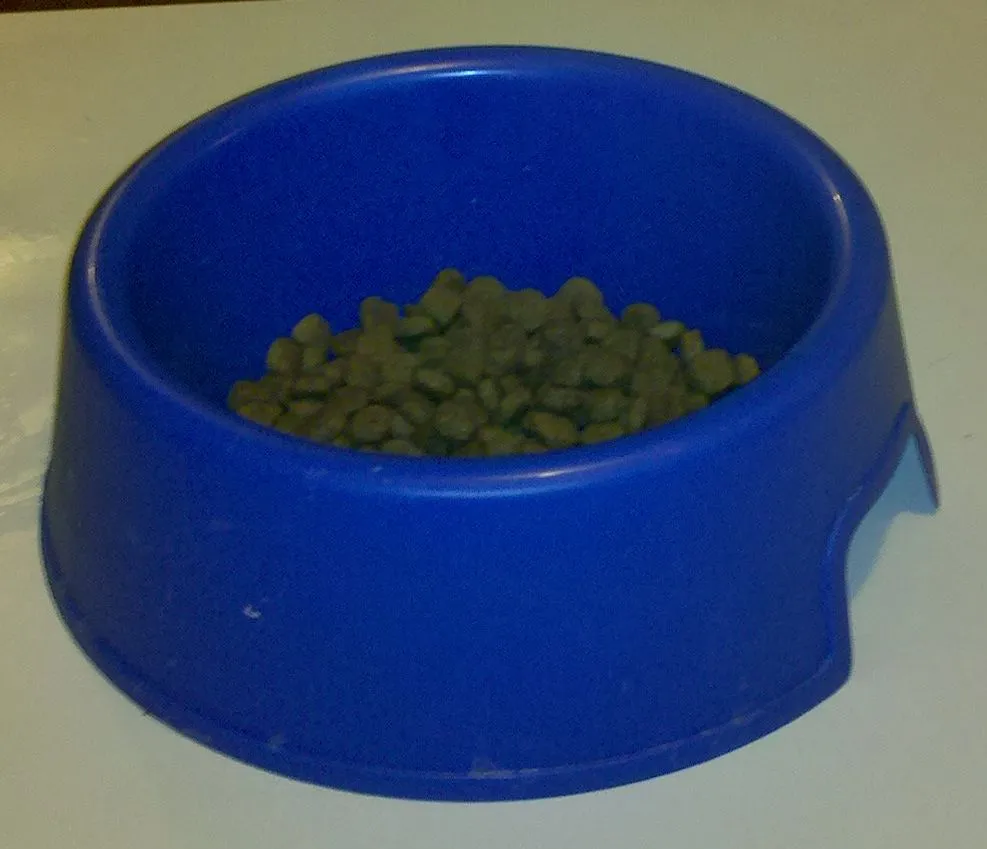 Large Dog food bowl.jpg