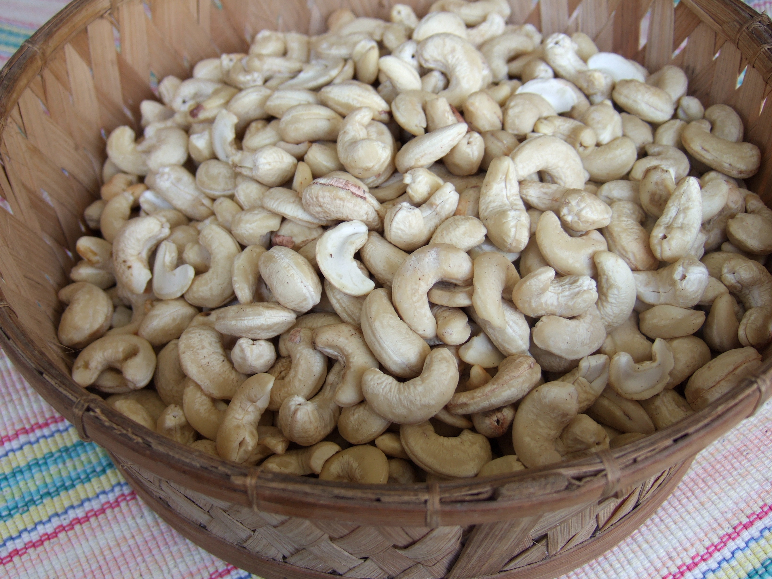 Vegane Käse-Revolution: Wie Cashew, Fermentation & Co. den Markt erobern