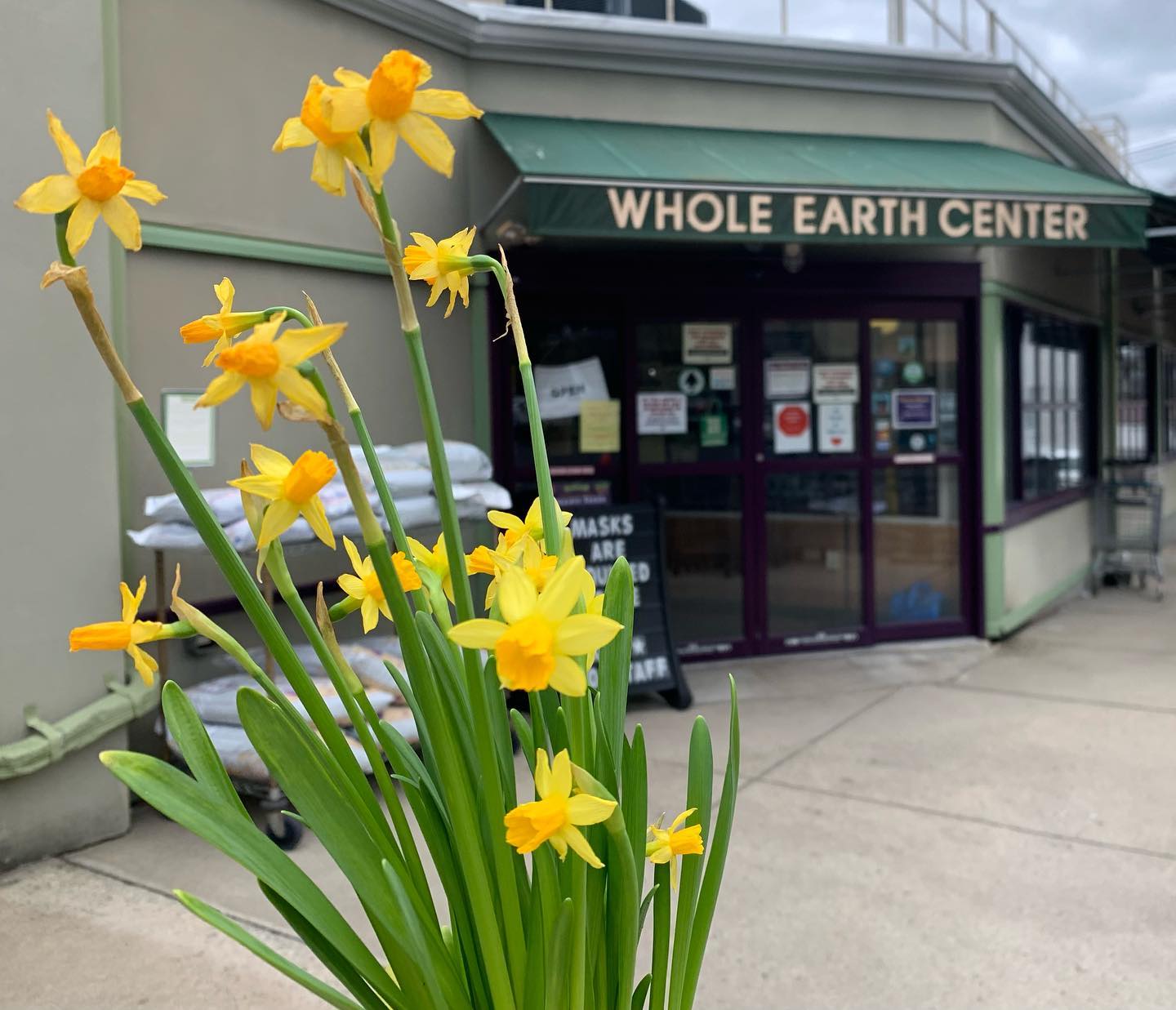 Whole Earth Center, Princeton, NJ.jpg