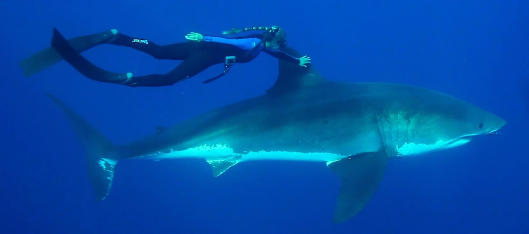 Ocean Ramsey with shark in "She Is The Ocean" trailer.jpg