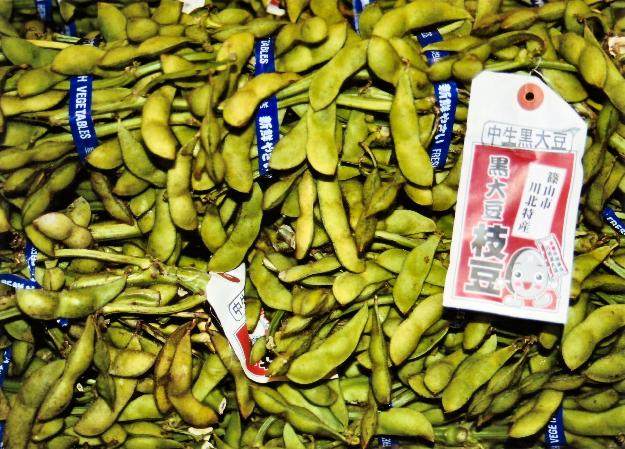 Tanba kuro daizu edamame by ricoeurian in Kyoto.jpg