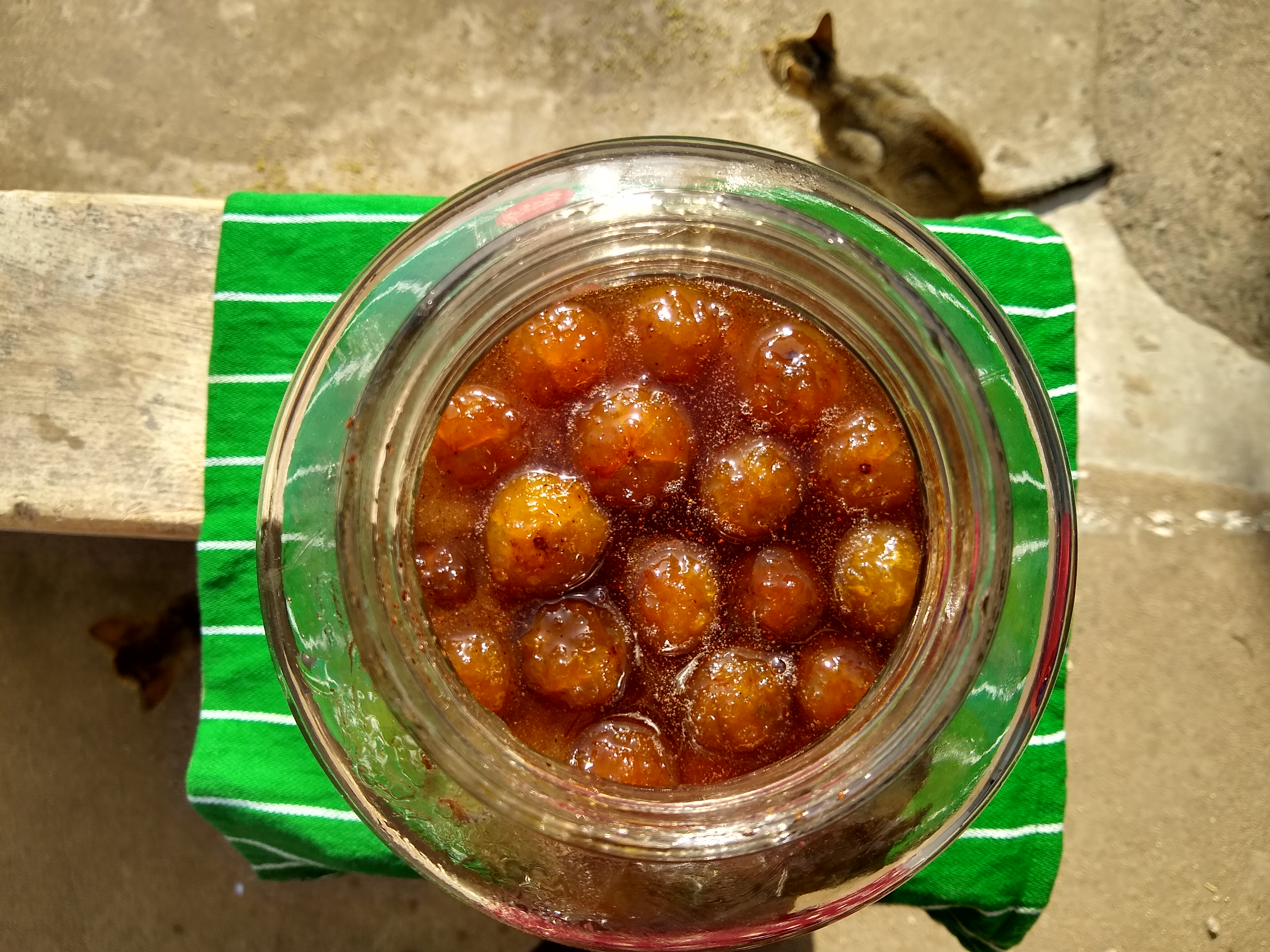 Amle ka Murabba - Gujarat - SHAILI 023.jpg